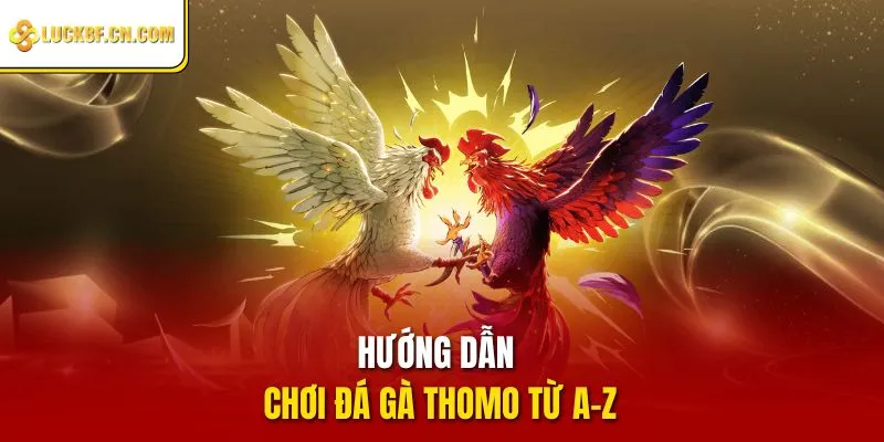 Hướng dẫn chơi đá gà Thomo từ A-Z